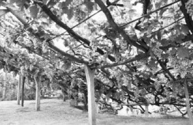 ��������©���Nֲ��(d��)һ�o��